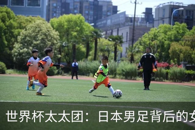 世界杯太太团：日本男足背后的女人，上田绮世、久保健英、田中碧最幸福