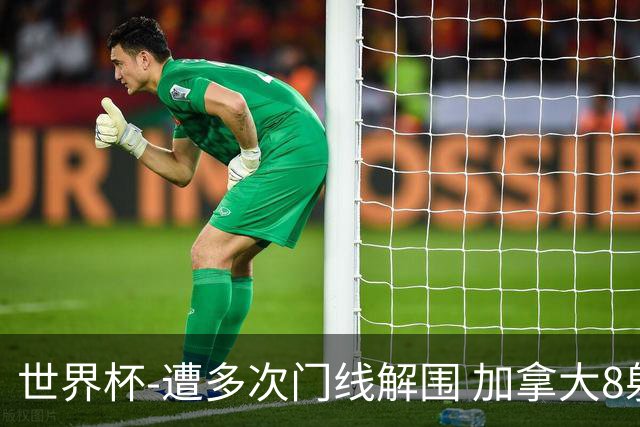 世界杯-遭多次门线解围 加拿大8射4正半场暂0-0南非