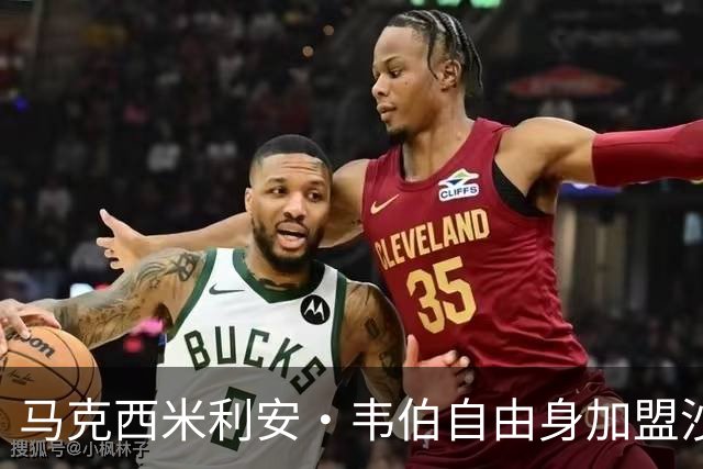 马克西米利安·韦伯自由身加盟沙尔克04