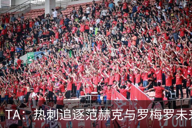 TA：热刺追逐范赫克与罗梅罗未来有关，球队商谈签下帕利尼亚