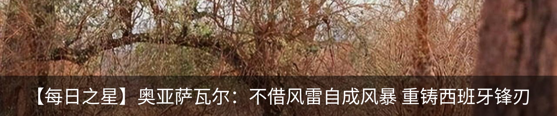 最新动态