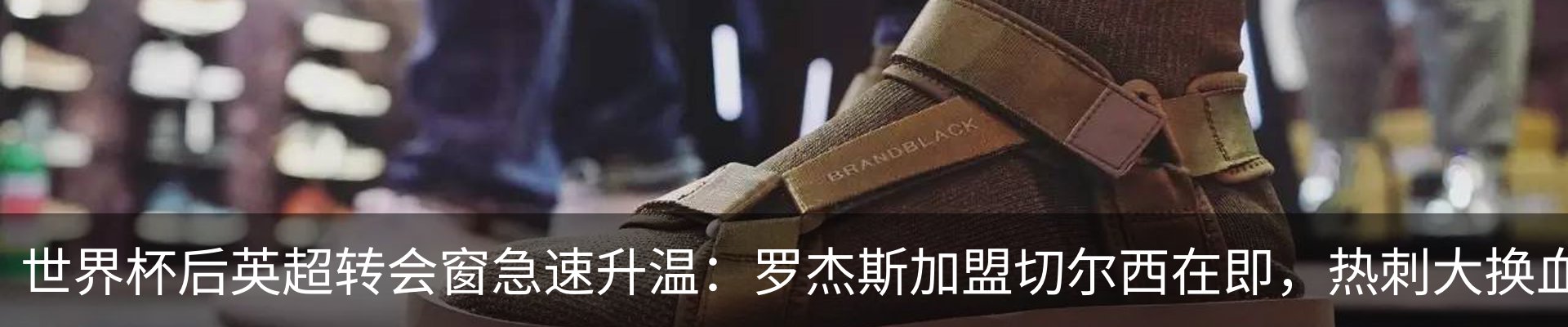 最新动态