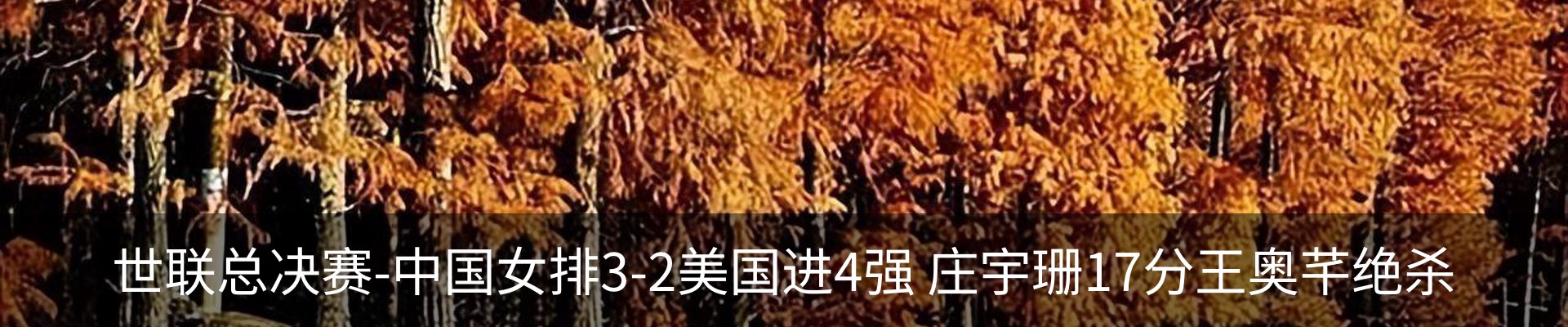 最新动态