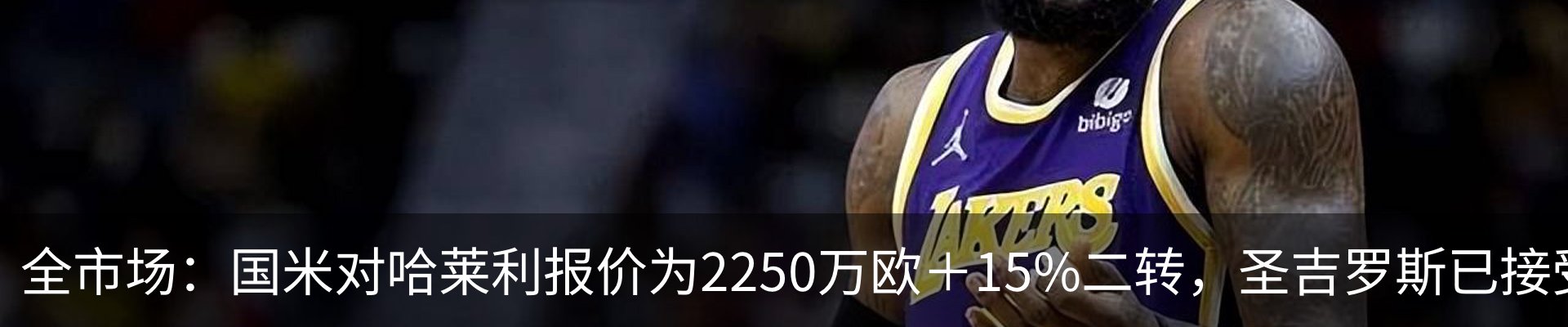 最新动态
