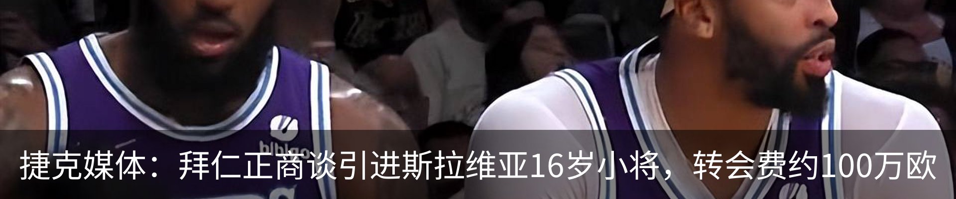 最新动态