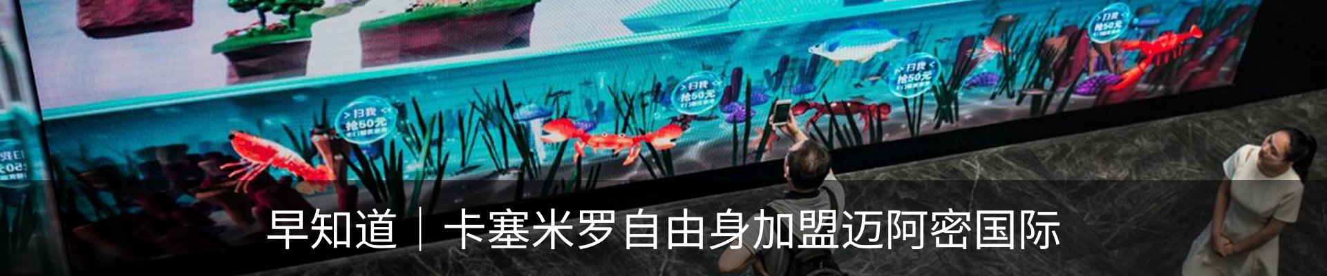 最新动态