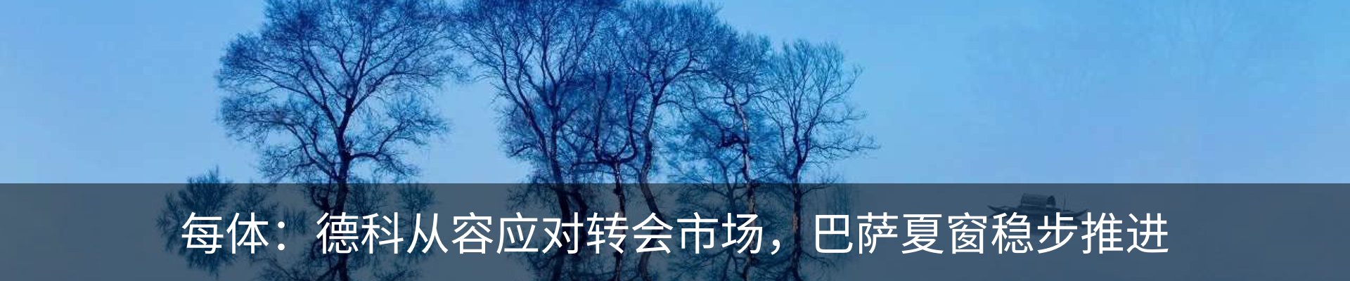 最新动态