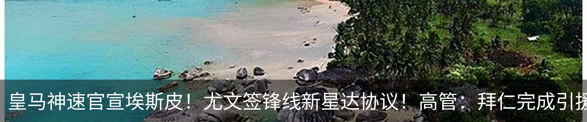 最新动态