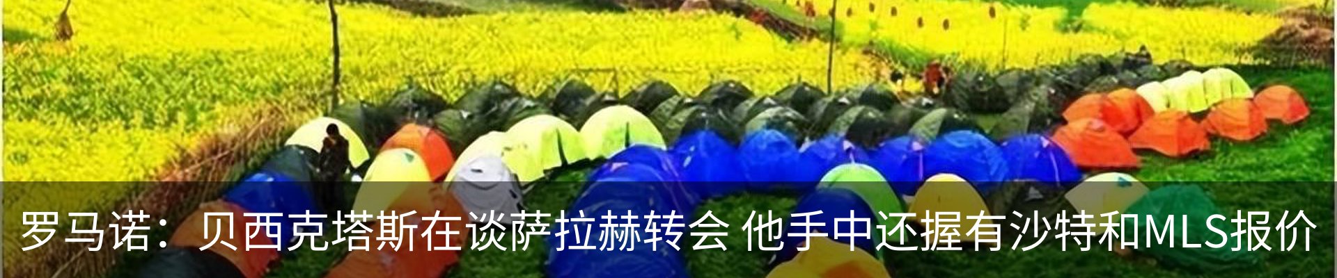 最新动态
