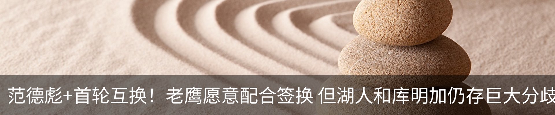 最新动态