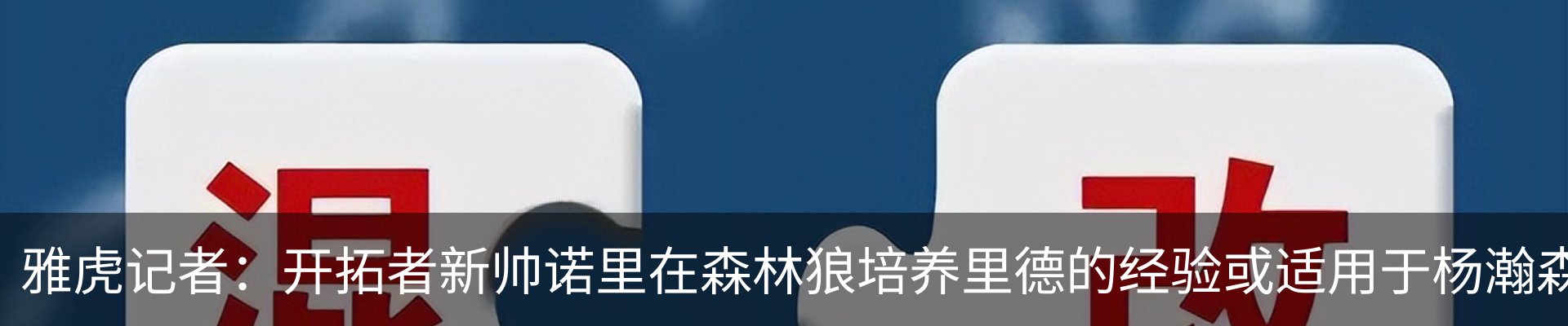 最新动态