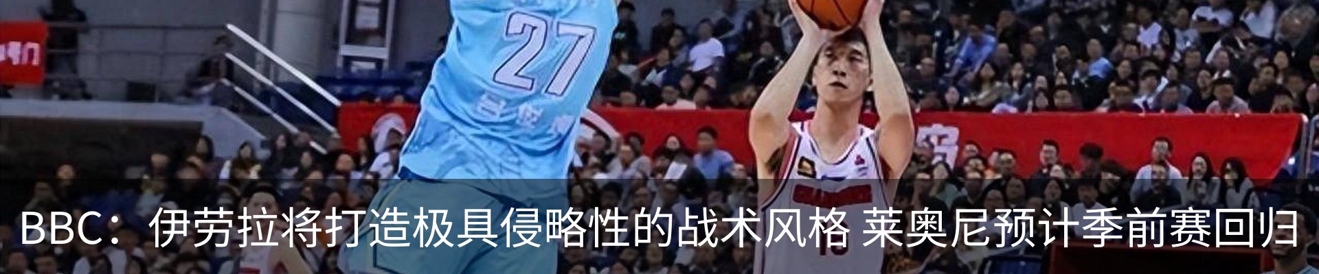 最新动态